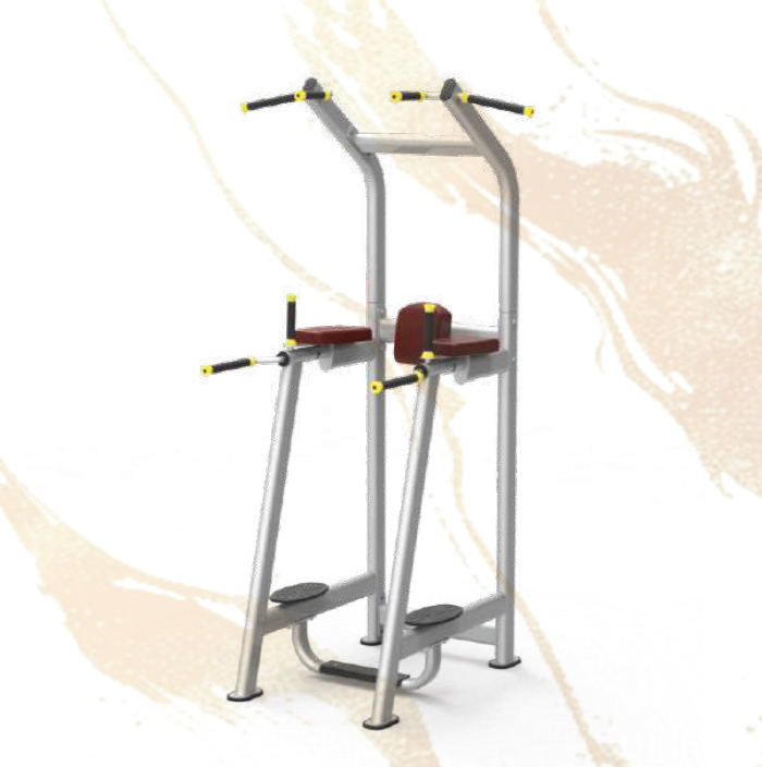 61A45A Vertical Knee Raise Station