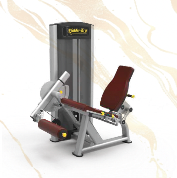61A24 Seated Leg Extension