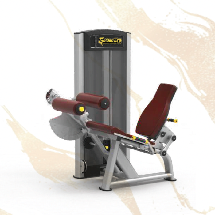 61A25 Seated Leg Curl