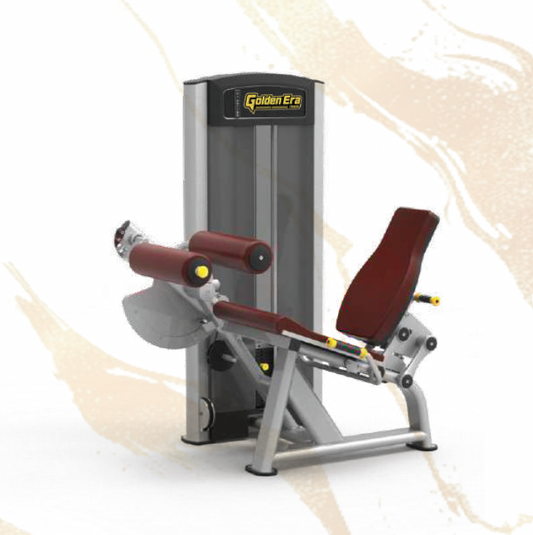 61A25 Seated Leg Curl