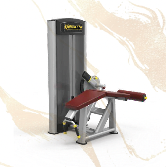 61A26 Lying Leg Curl