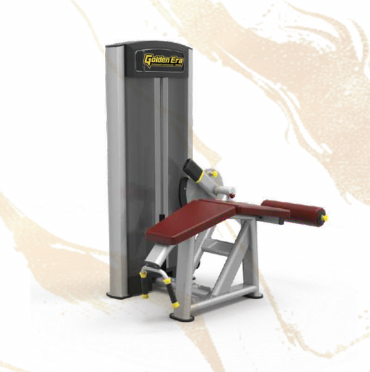 61A26 Lying Leg Curl