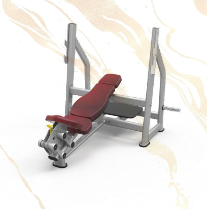 61A38 Incline Bench Press Rack