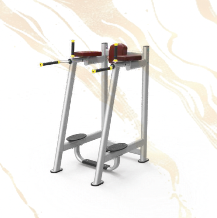 61A45 Vertical Knee Raise Station