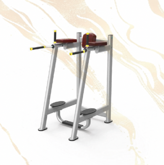 61A45 Vertical Knee Raise Station