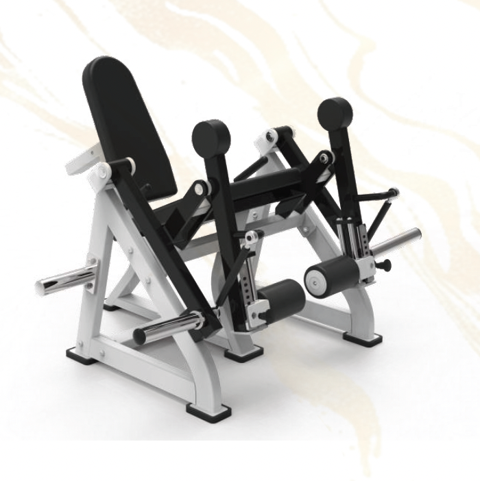 82023 Seated Leg Extension